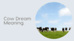 Cow Dream Meaning