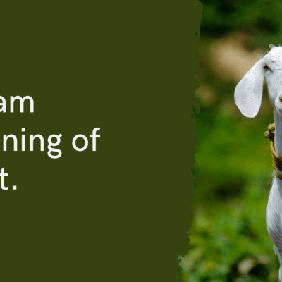 Dream Meaning of Goat