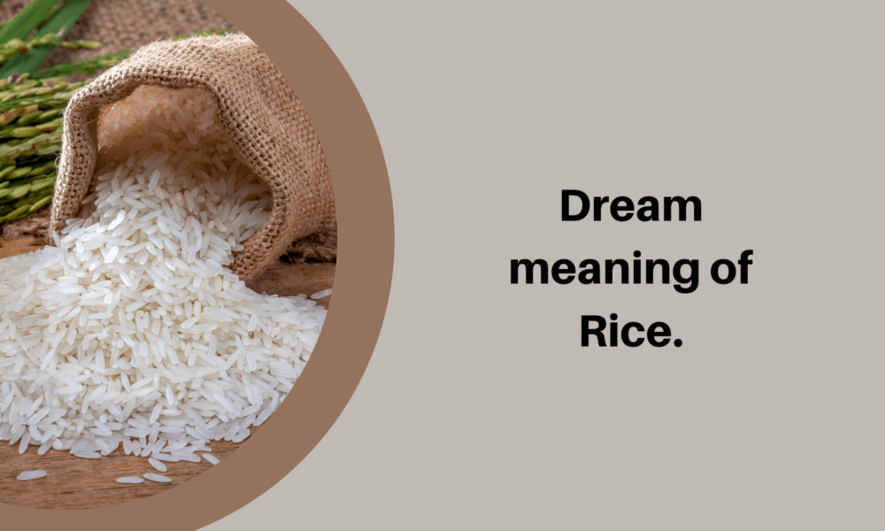 Dream meaning of rice