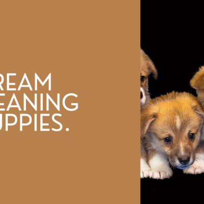 Dream meaning puppies