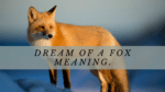 Dream of a Fox Meaning