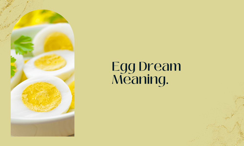 Egg Dream Meaning