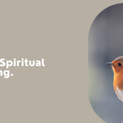 Robin Spiritual Meaning
