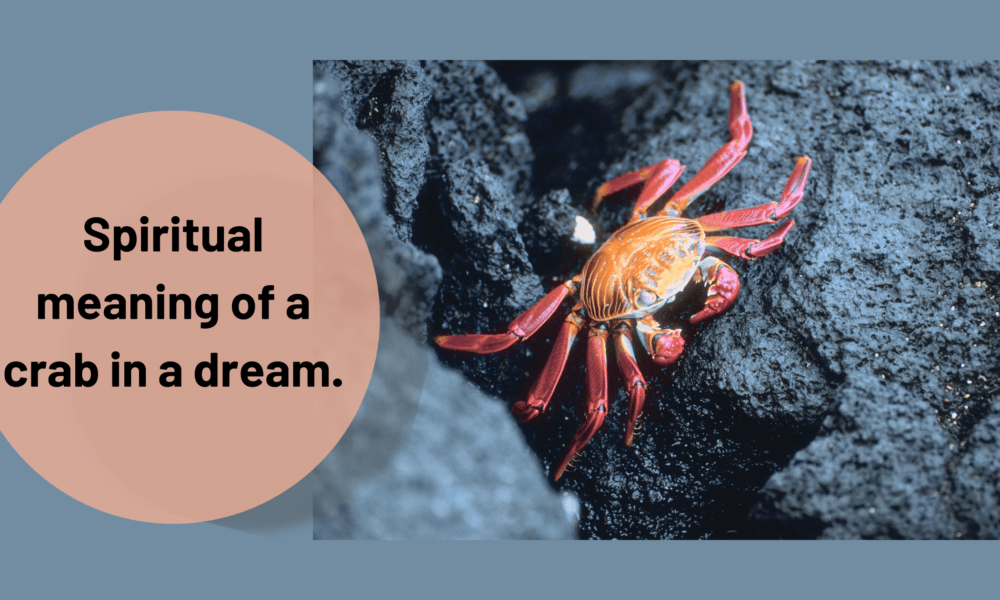 Spiritual meaning of a crab in a dream