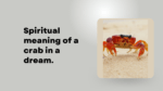 Spiritual meaning of a crab in a dream