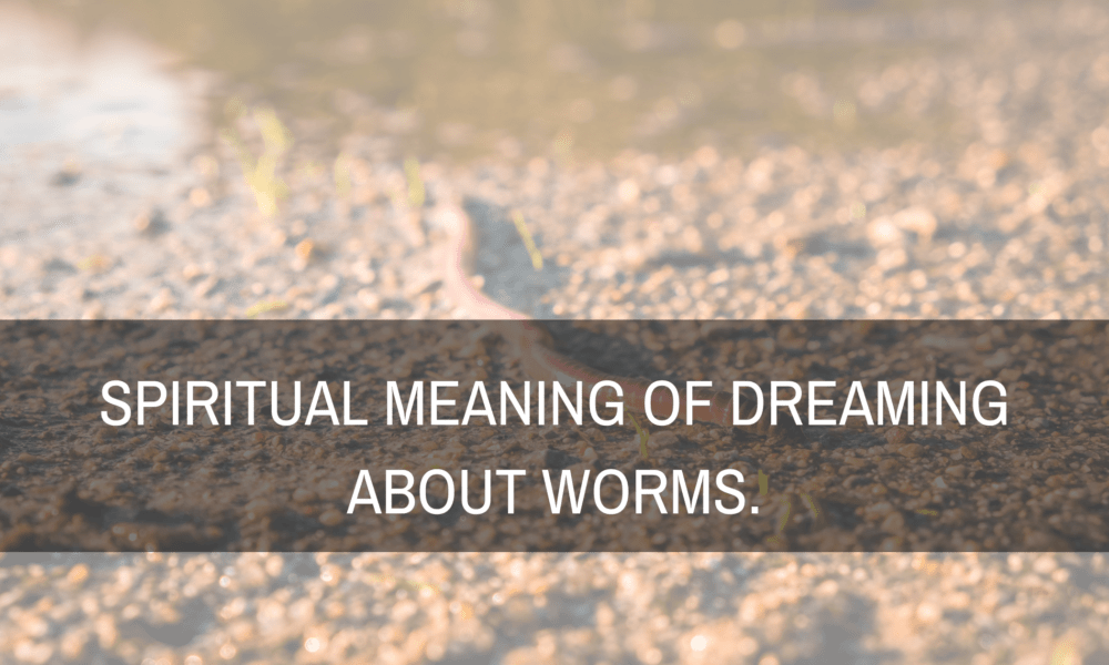 Spiritual meaning of dreaming about worms