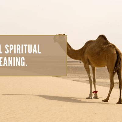 Camel Spiritual Meaning