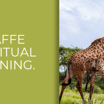Giraffe Spiritual Meaning