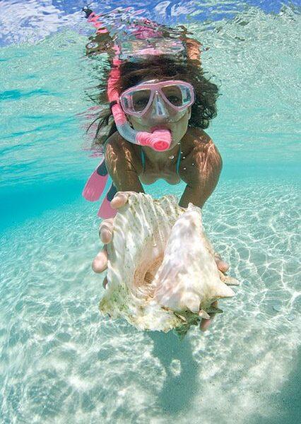 what is Snorkeling- Everything you need to know.