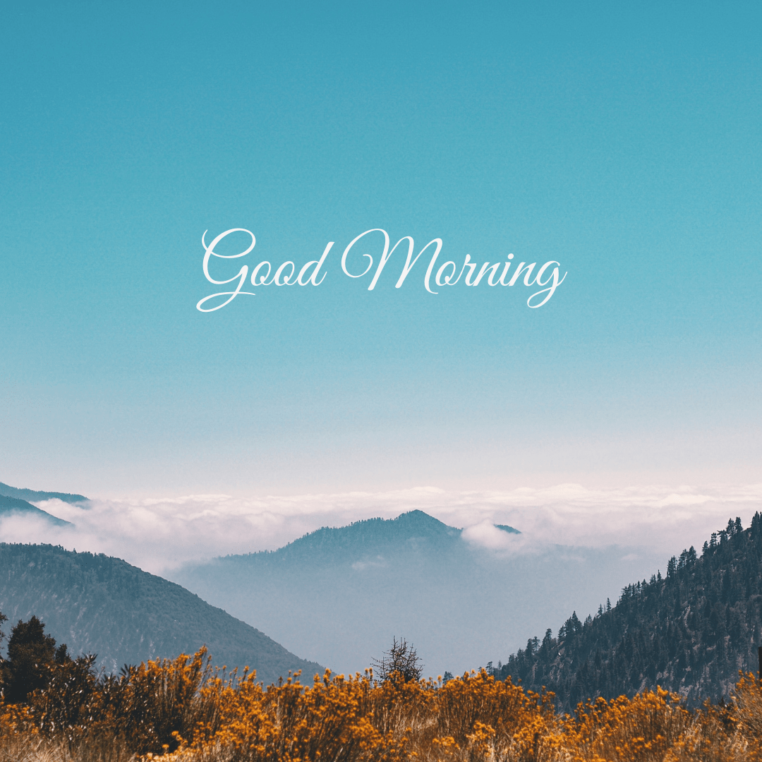 Good Morning Nature Images. - MELTBLOGS